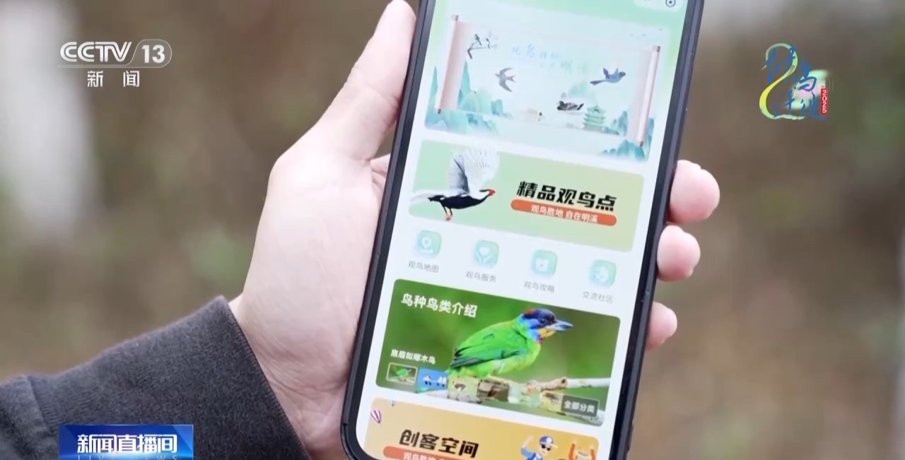 的明溪县 究竟有什么独特魅力？不朽情缘游戏网站在观鸟界火出圈(图9)