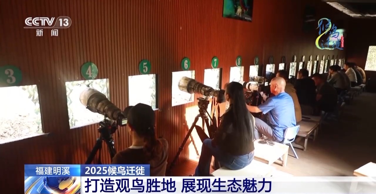 的明溪县 究竟有什么独特魅力？不朽情缘游戏网站在观鸟界火出圈(图7)