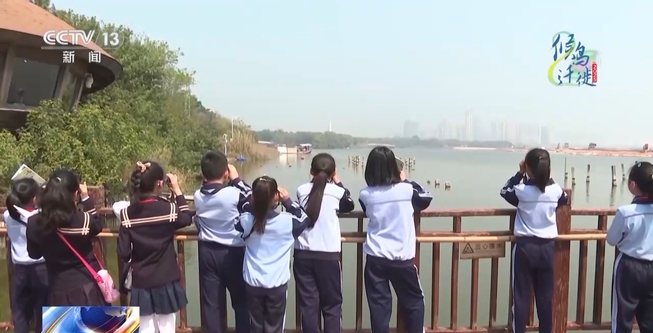 的明溪县 究竟有什么独特魅力？不朽情缘游戏网站在观鸟界火出圈(图5)