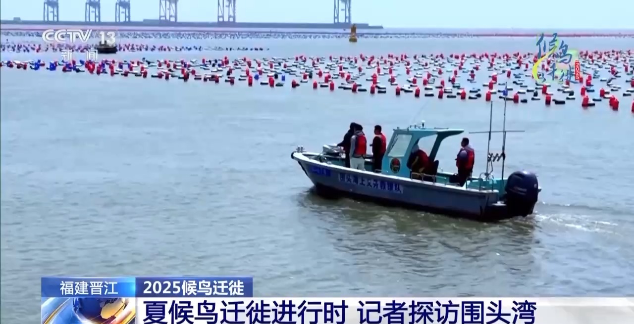 的明溪县 究竟有什么独特魅力？不朽情缘游戏网站在观鸟界火出圈(图16)